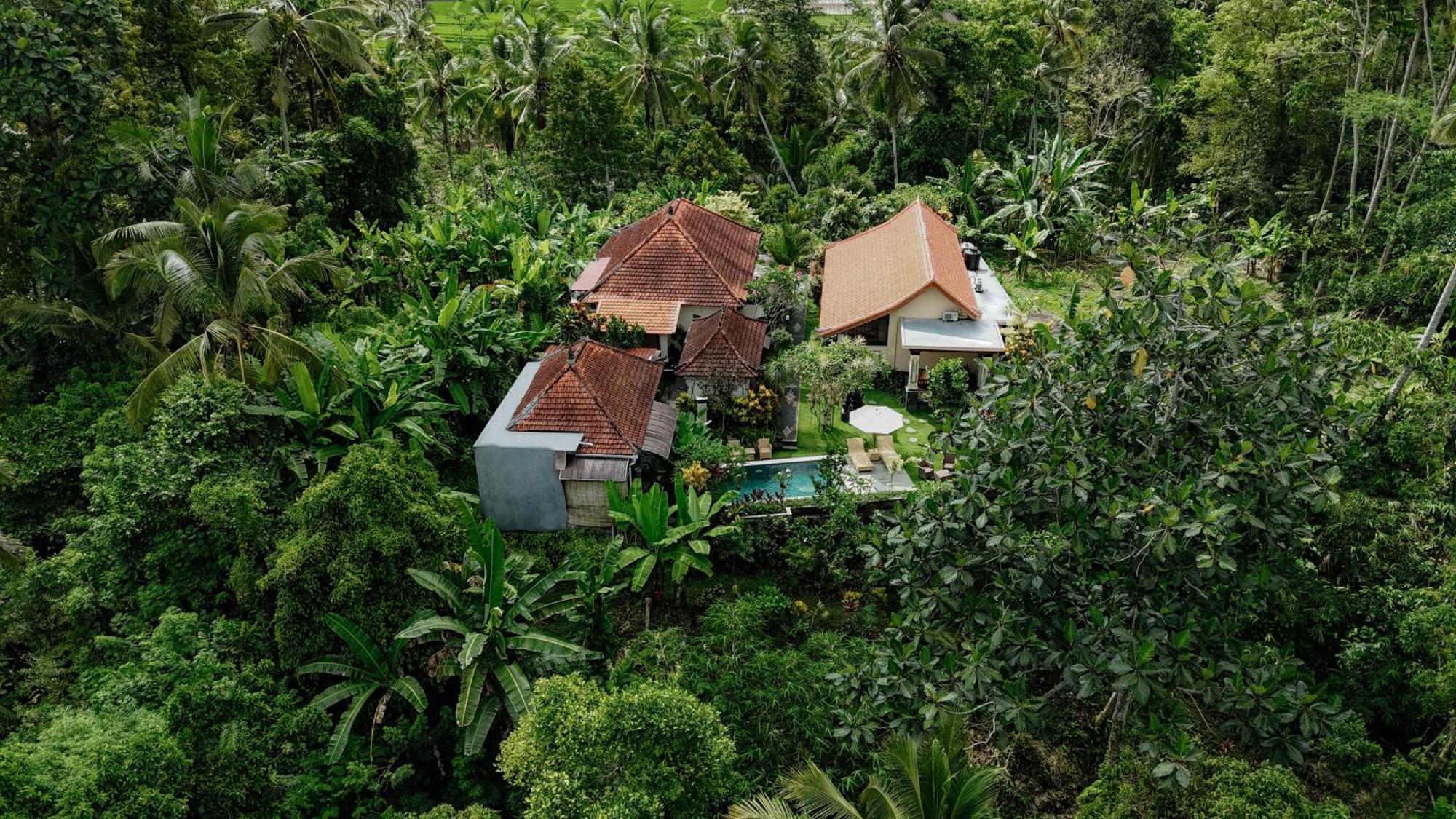 Campuhan Guesthouse Tabanan  Exterior photo